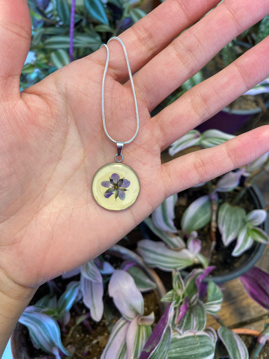 Pendientes con flores reales