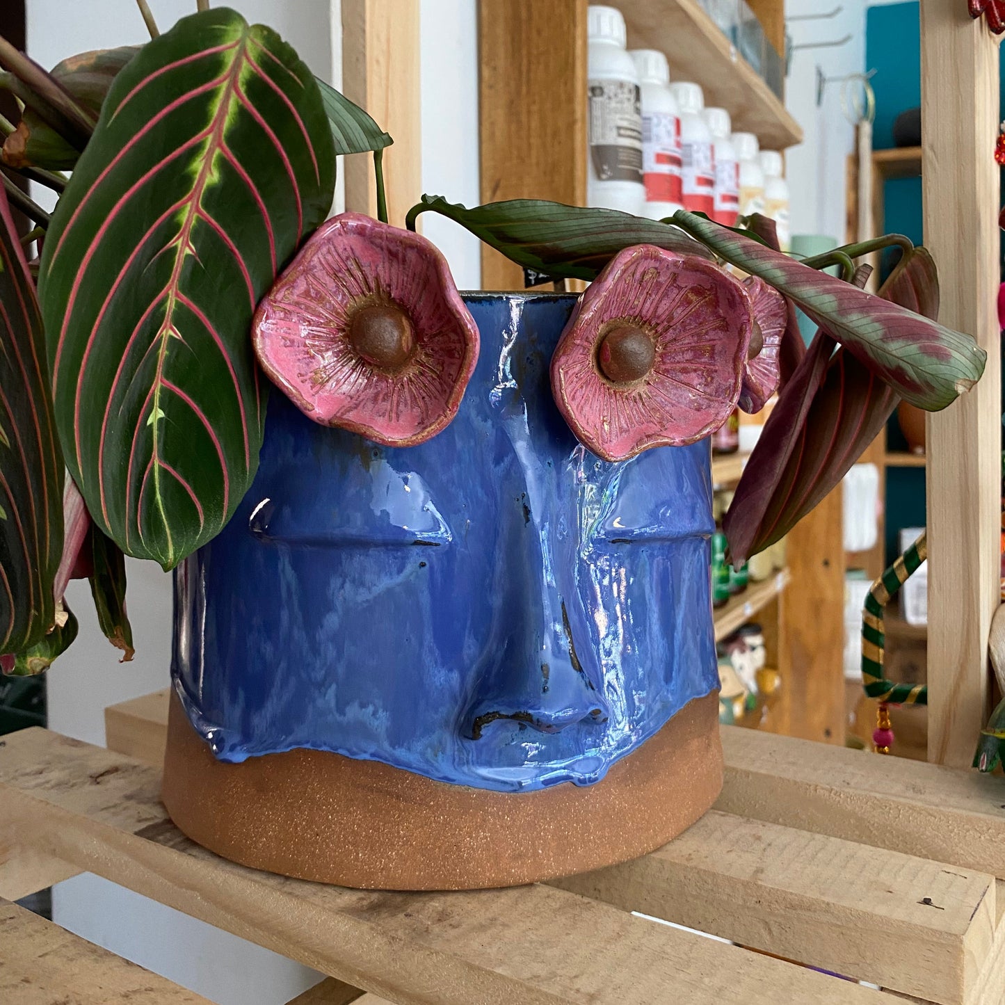 Maceta Ceramica Gress Cara