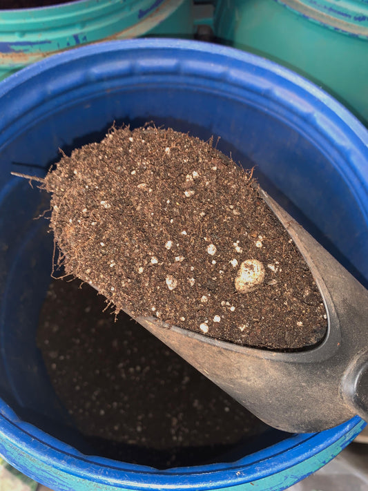 Sustrato Cactus y Suculentas a Granel