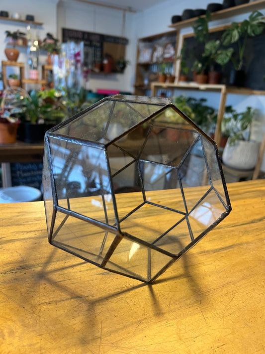 Porta Terrario de Vidrio "Esfera" Mediano