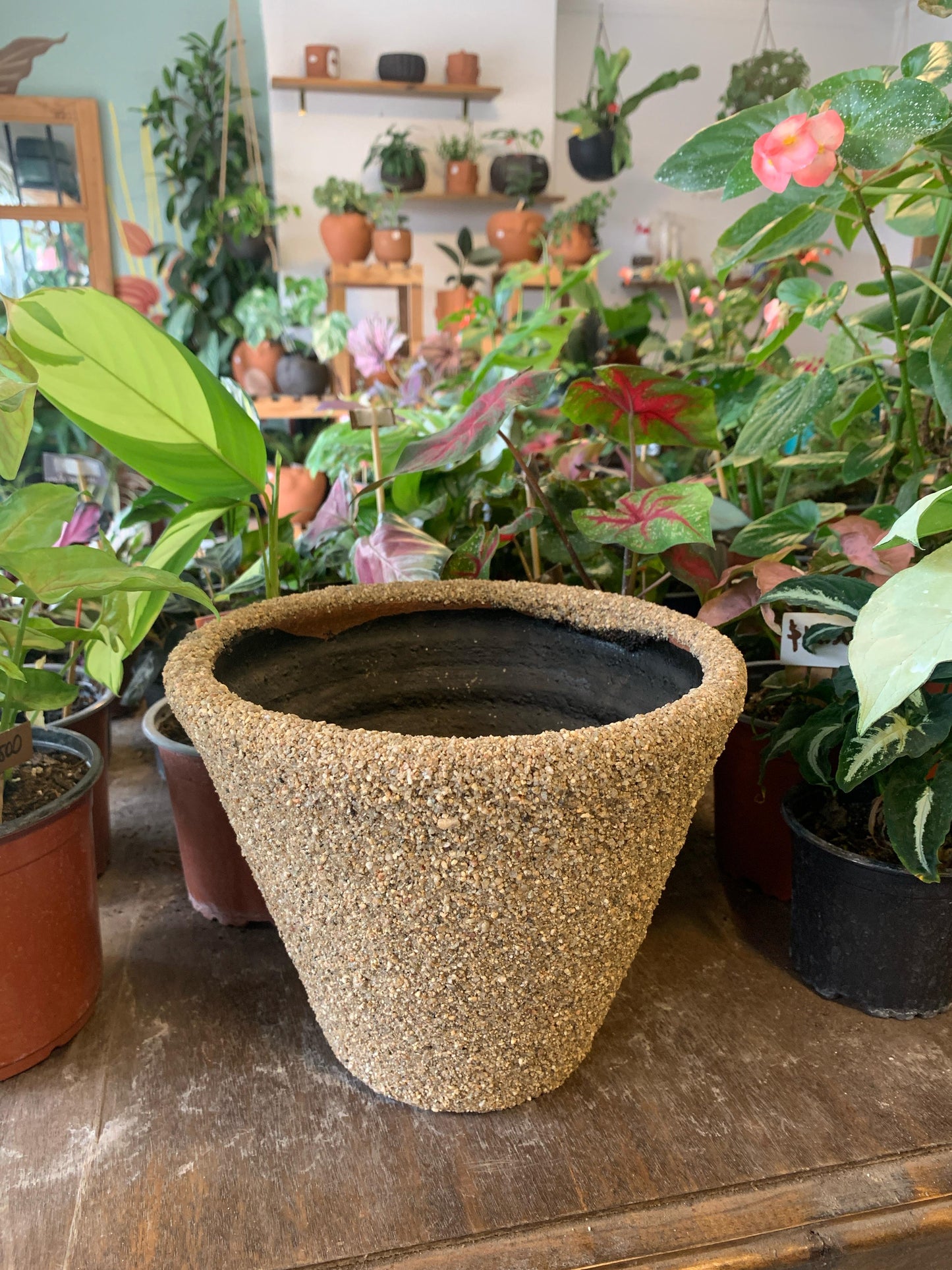 Maceta Arena Copa