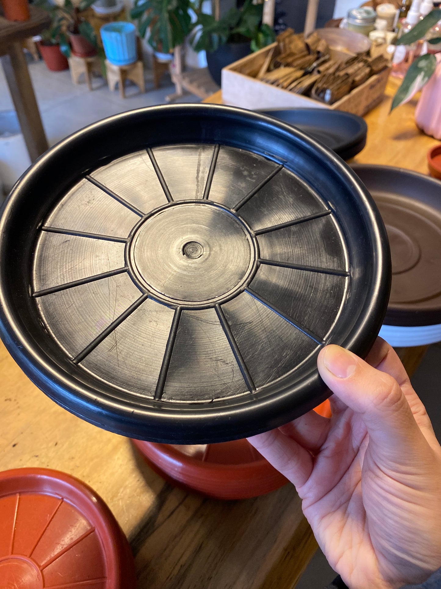 Plato Para Maceta