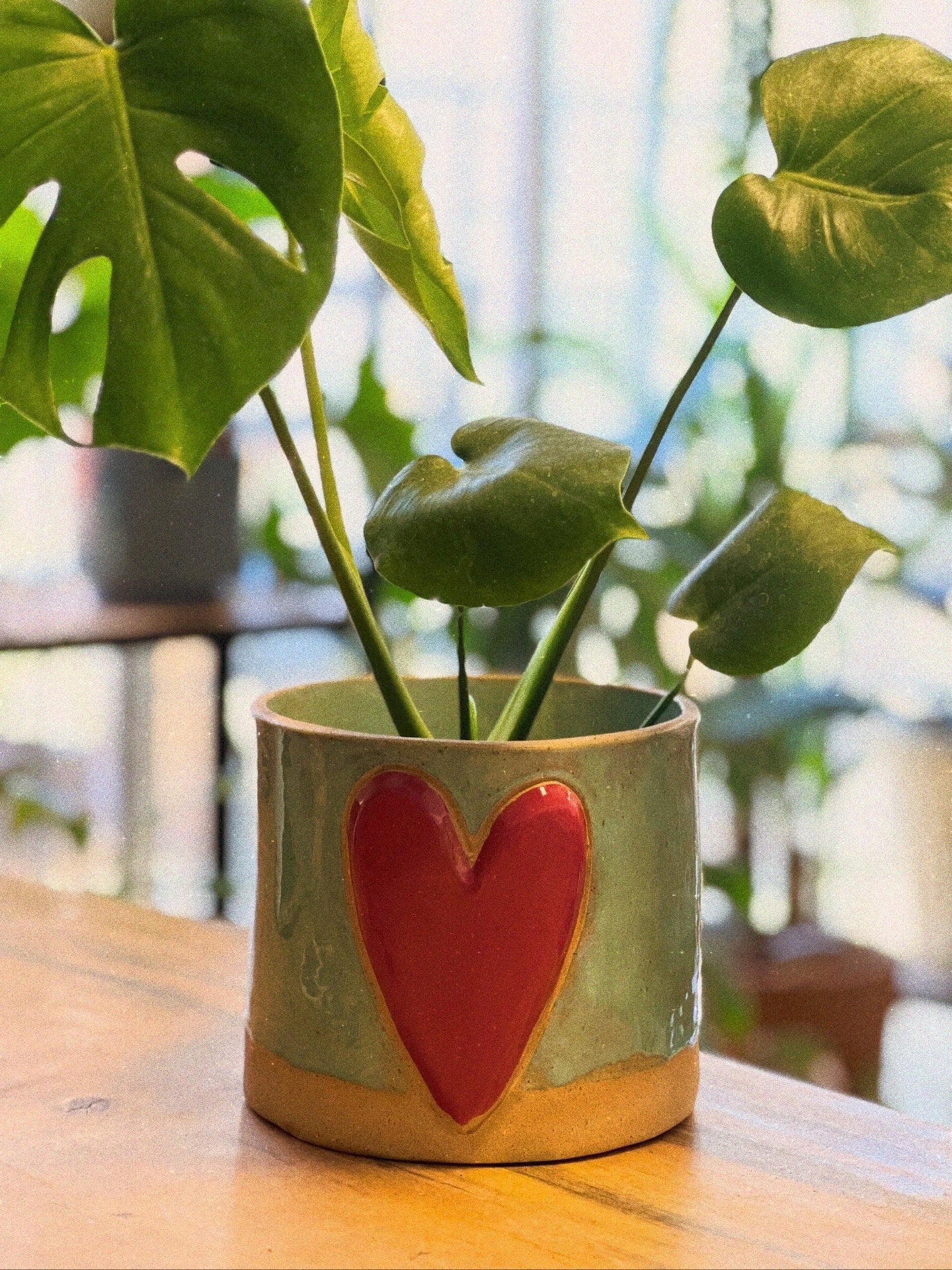 Maceta Ceramica Gress Corazon