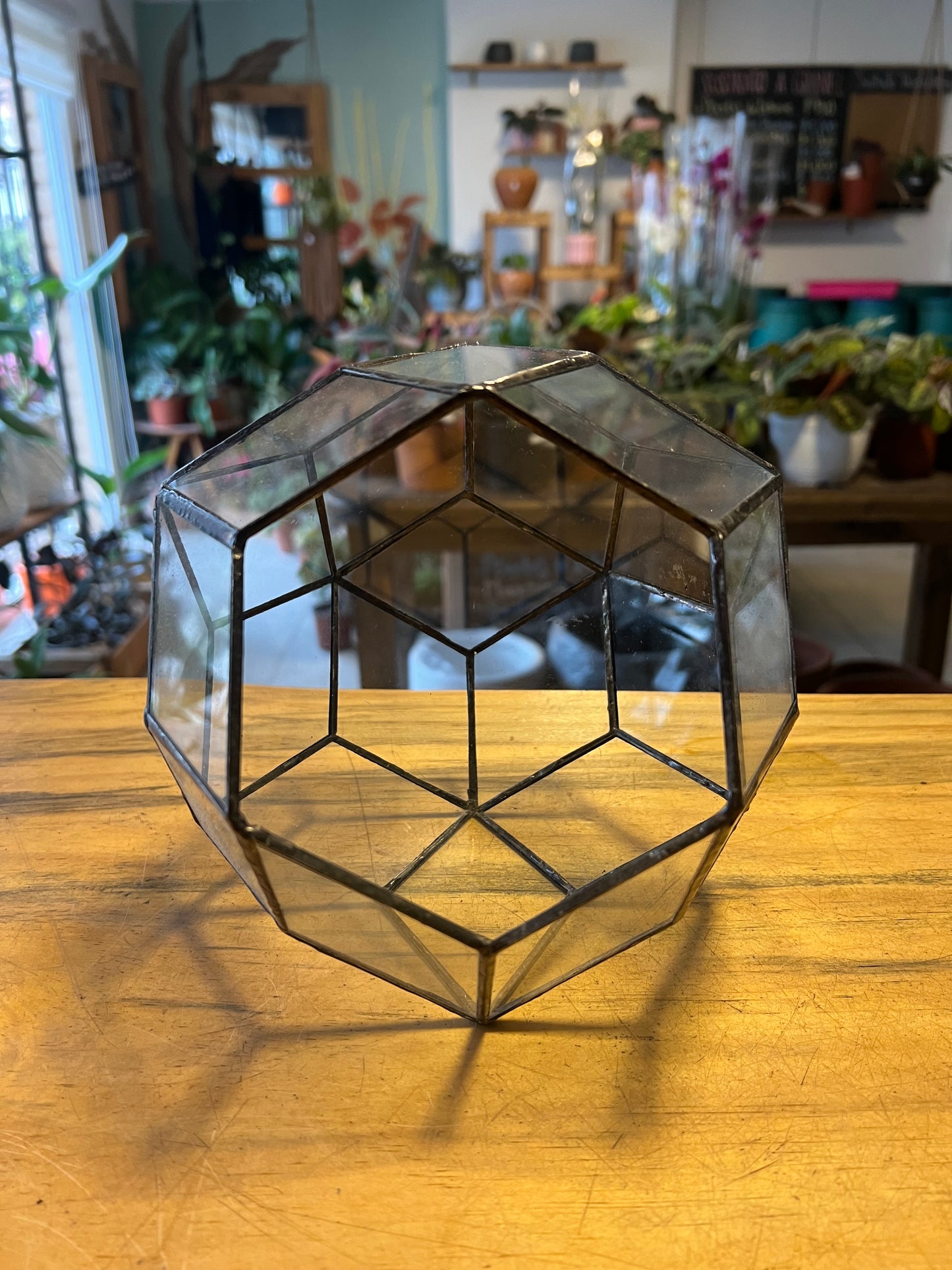 Porta Terrario de Vidrio "Esfera" Mediano