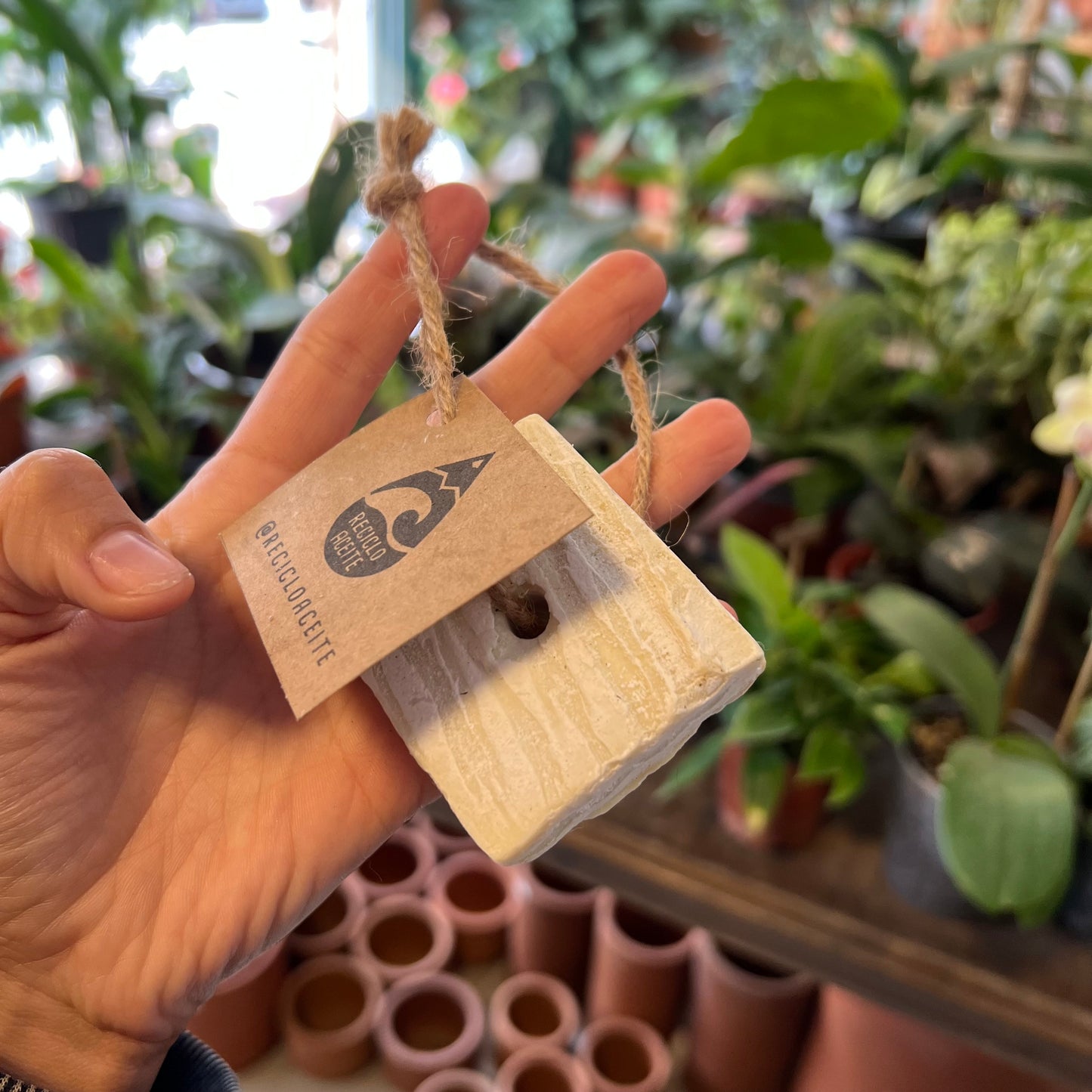 Jabón Quitamanchas Ecológico