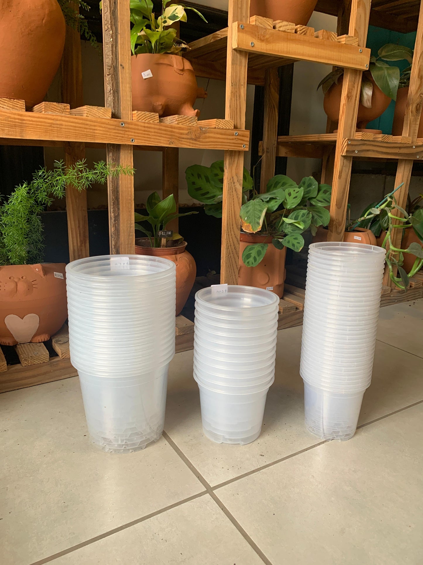 Maceta Plástico Grueso Transparente