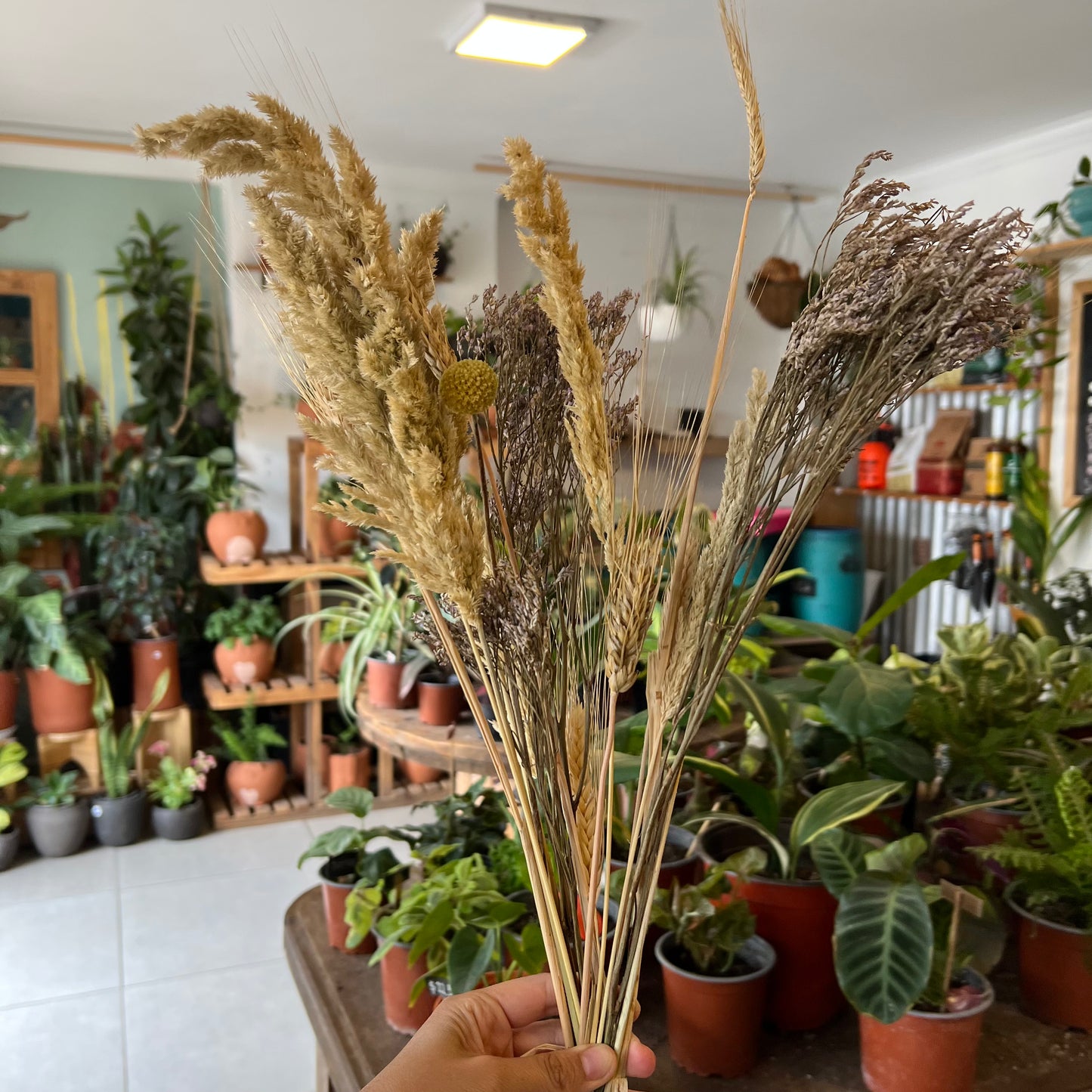 Ramo De Flores Secas - Mix