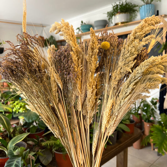 Ramo De Flores Secas - Mix