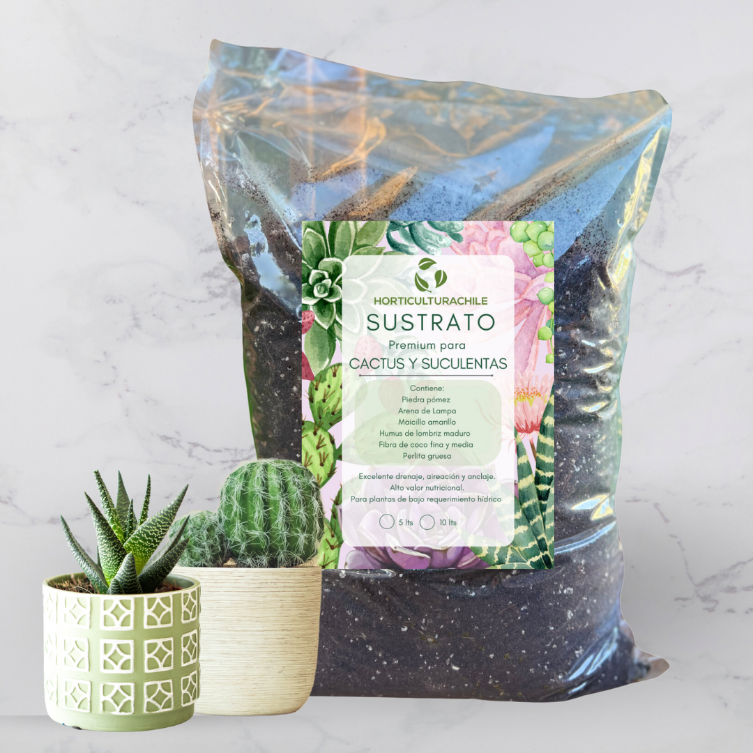 Sustrato Cáctus Premium