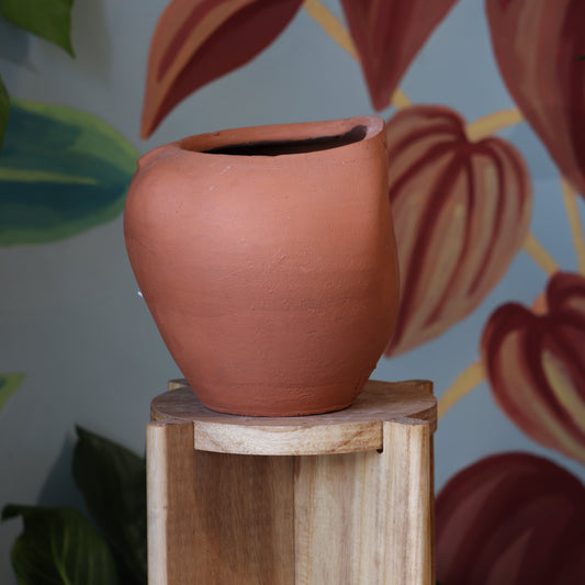 Macetario Gordo Pared