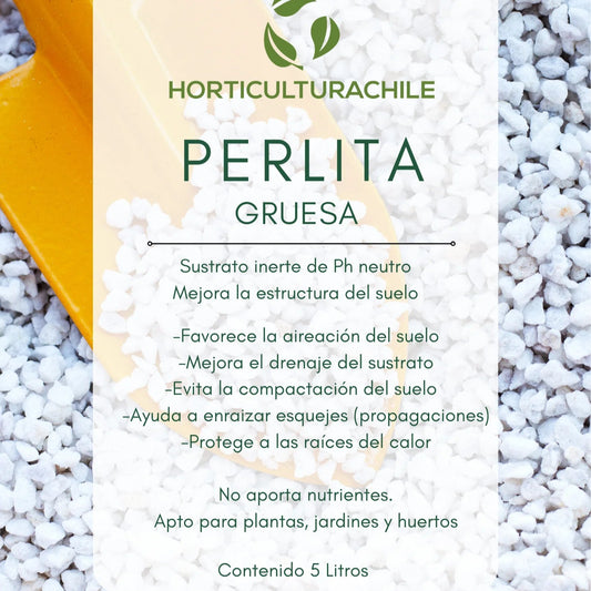Perlita Gruesa