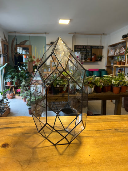 Porta Terrario de Vidrio "Huevoide" Grande