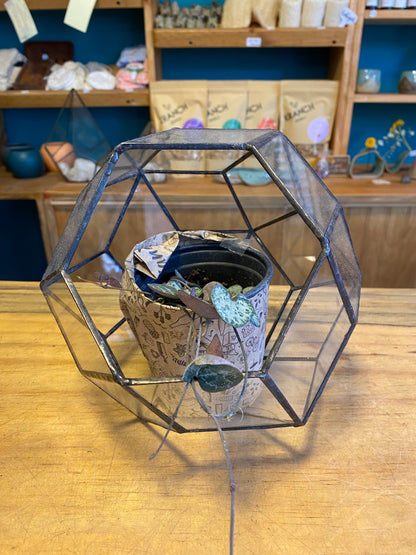 Porta Terrario de Vidrio "Esfera" Mediano