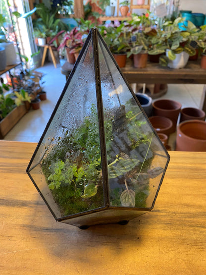 Terrario de Vidrio "Prisma" Mediano