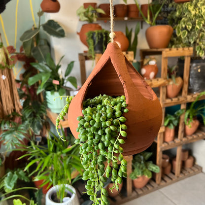 Rosario + Macetario Gotita