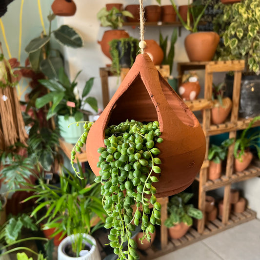 Rosario + Macetario Gotita