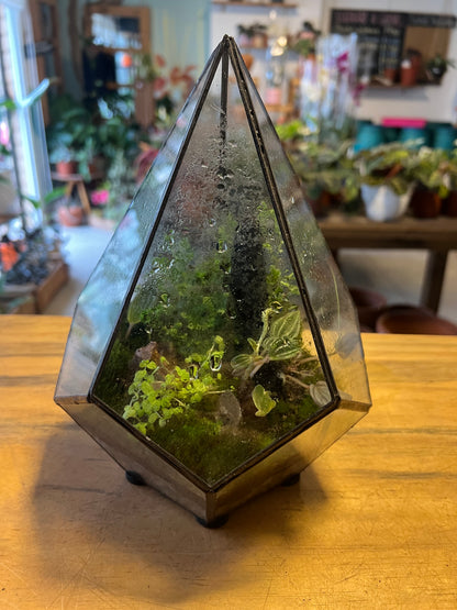 Terrario de Vidrio "Prisma" Mediano