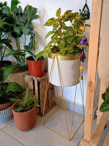 Pedestal Dorado + Porta Maceta