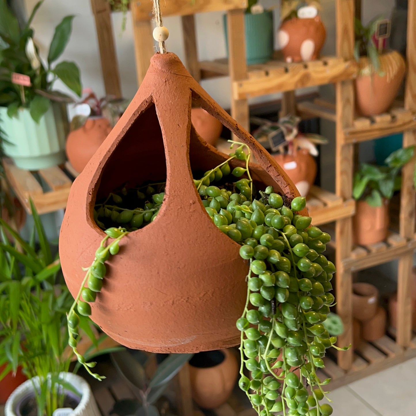 Rosario + Macetario Gotita