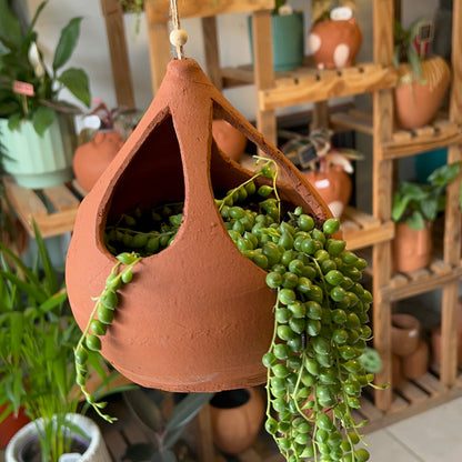 Rosario + Macetario Gotita