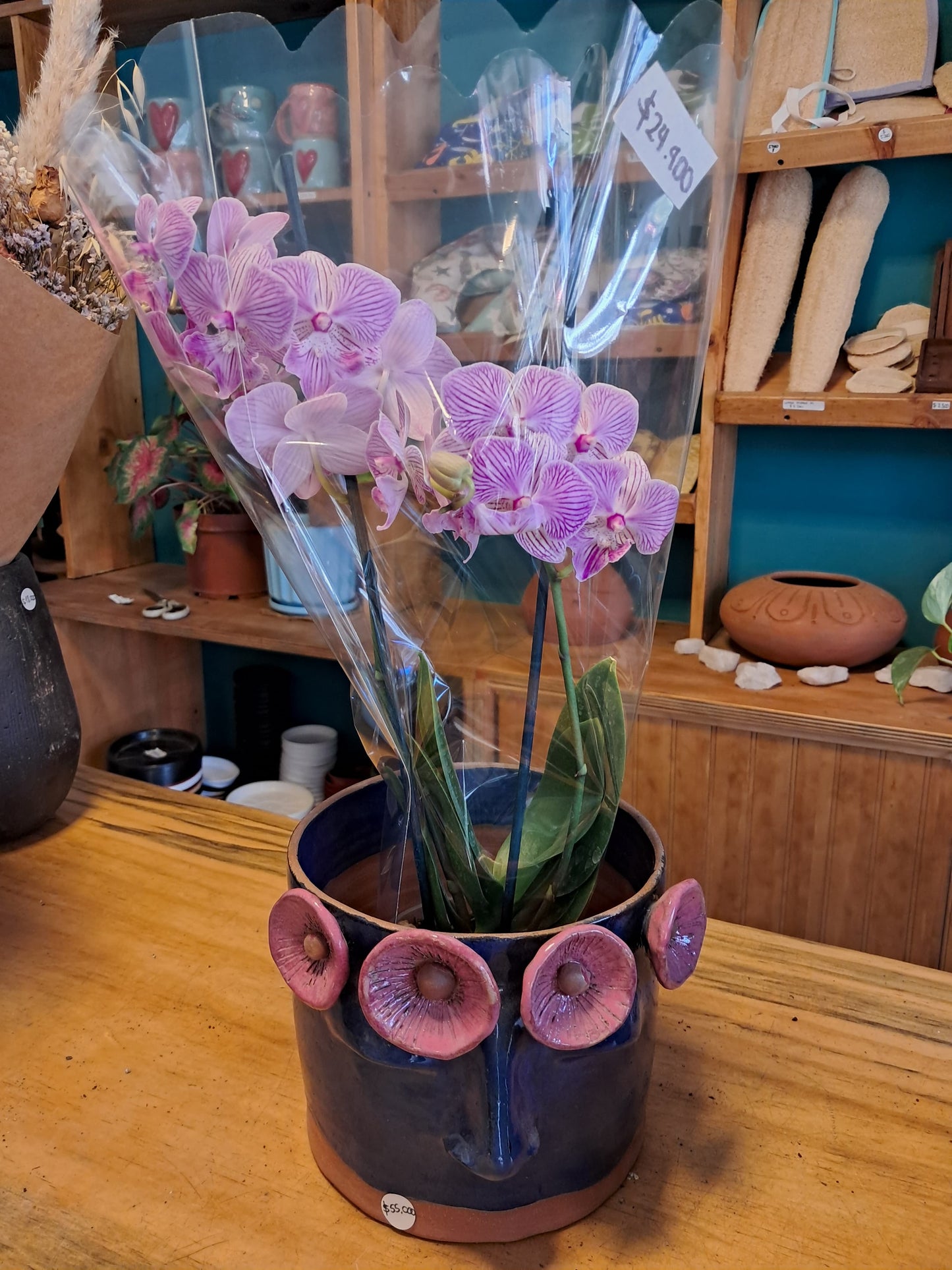 Orquidea Phalaenopsis