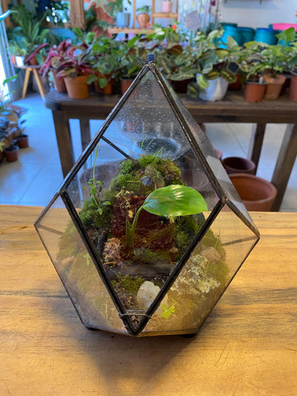 Terrario de Vidrio "Prisma" Mediano