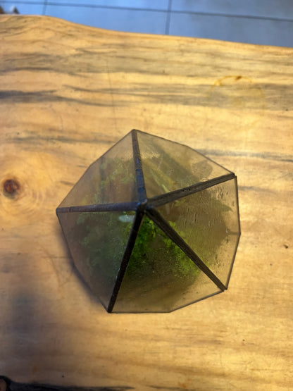 Terrario de Vidrio "Prisma" Mediano