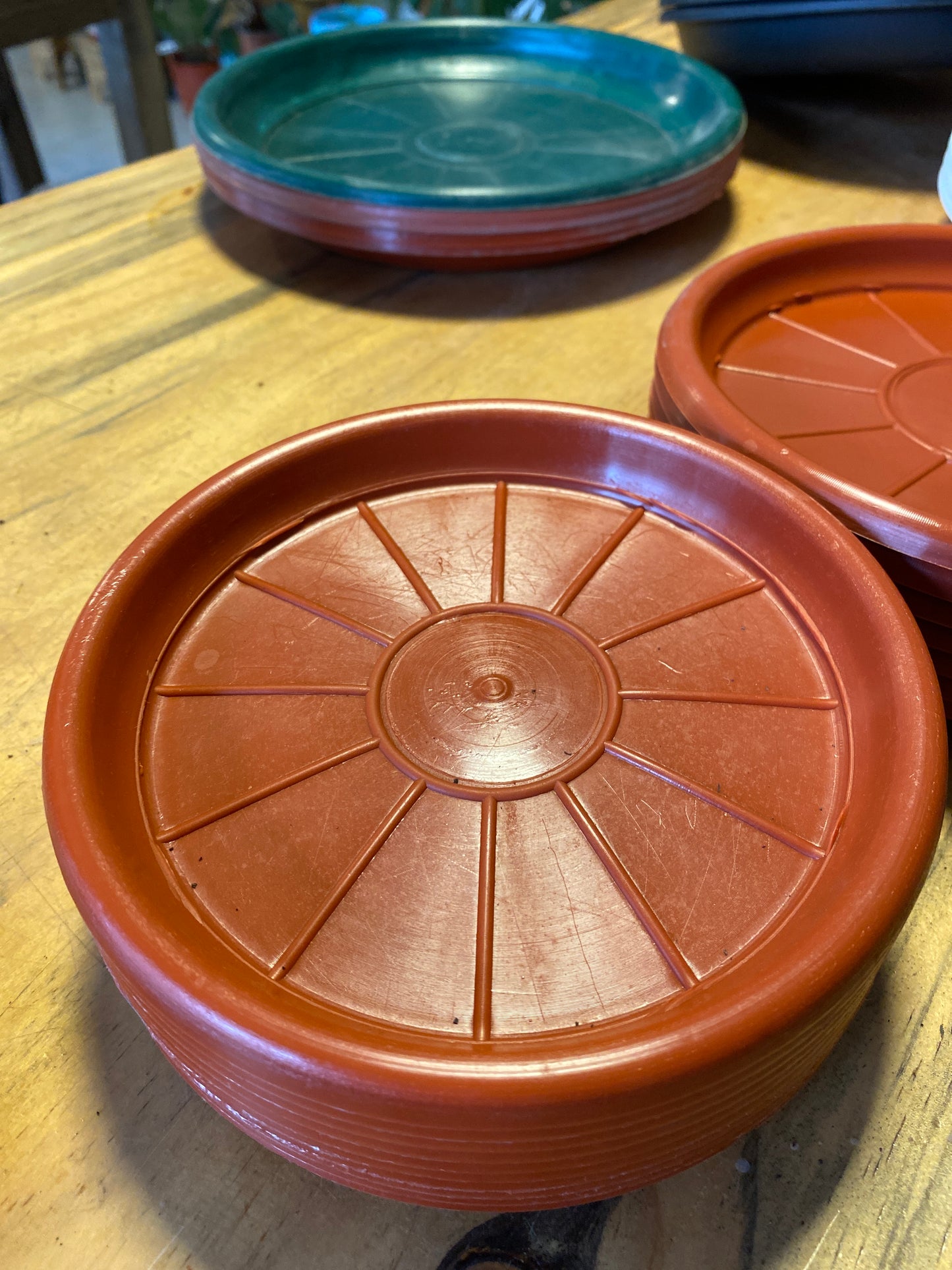 Plato Para Maceta