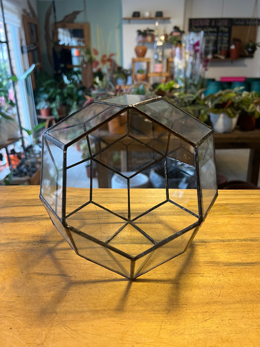 Porta Terrario de Vidrio "Esfera" Mediano