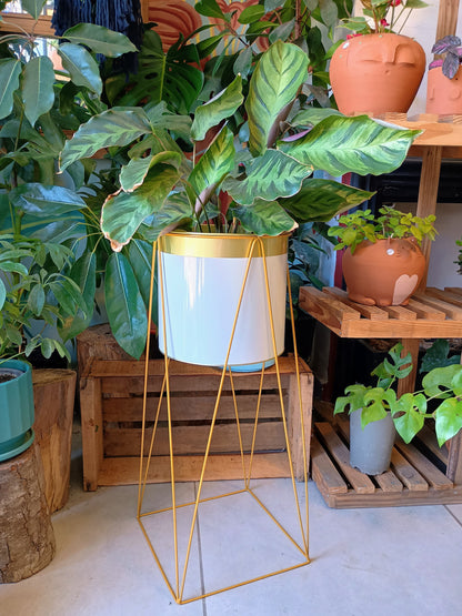 Pedestal Dorado + Porta Maceta