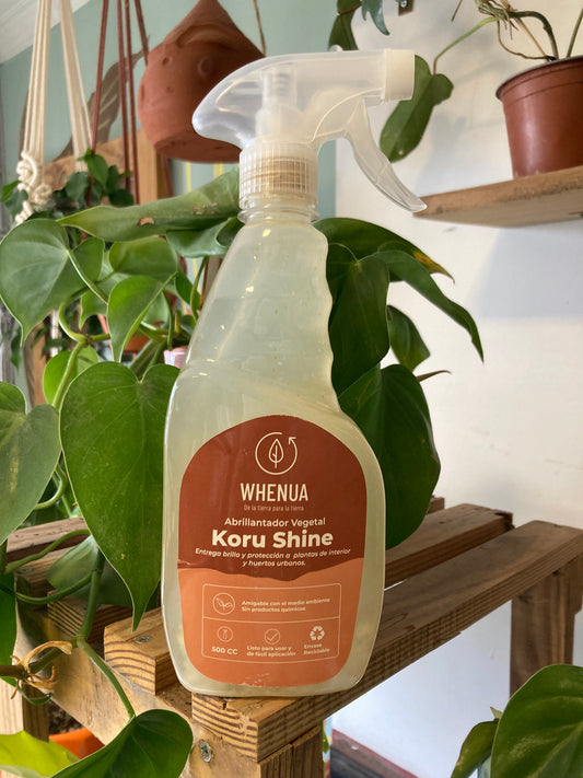 Koru Shine