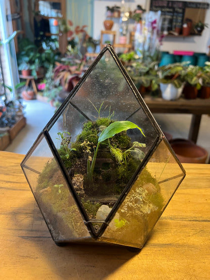 Terrario de Vidrio "Prisma" Mediano
