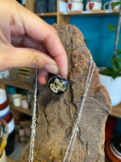 Pendientes con flores reales