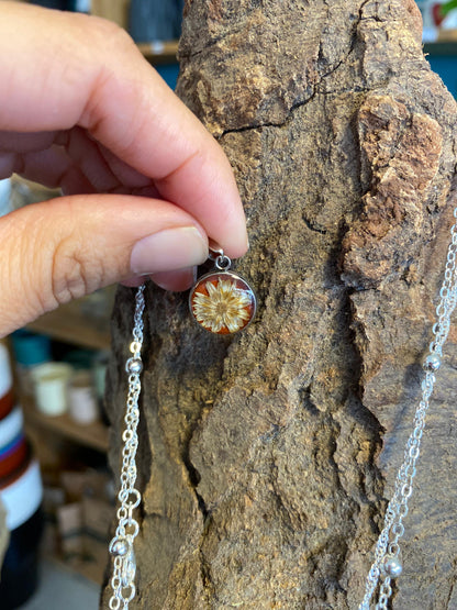 Pendientes con flores reales