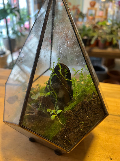 Terrario de Vidrio "Prisma" Mediano