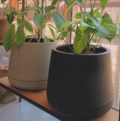 Maceta Plástica Autoriego