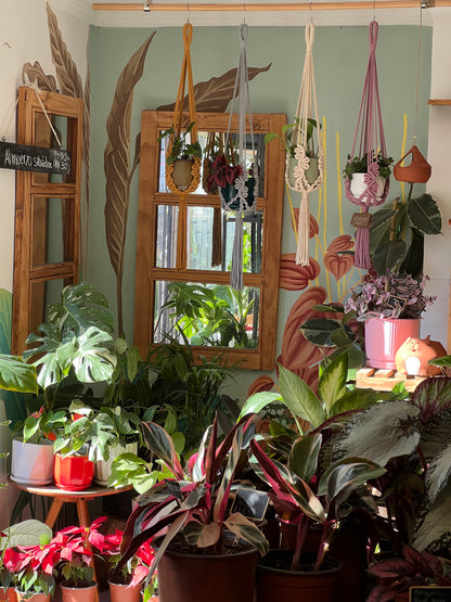 Colgante Macramé Algodón turco