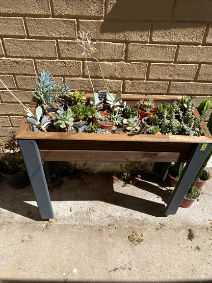 Jardinera "Huerto Vivo" en altura