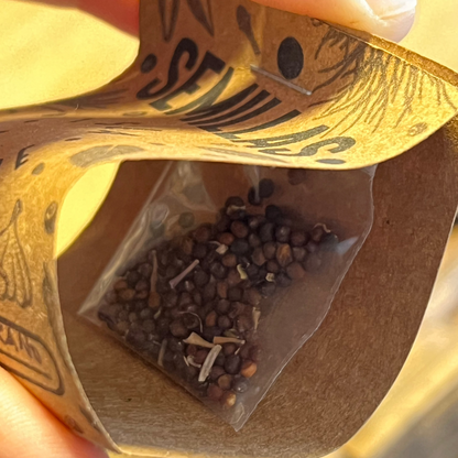 Semillas Agroecológicas - Isla Libre