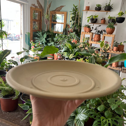 Plato Para Maceta