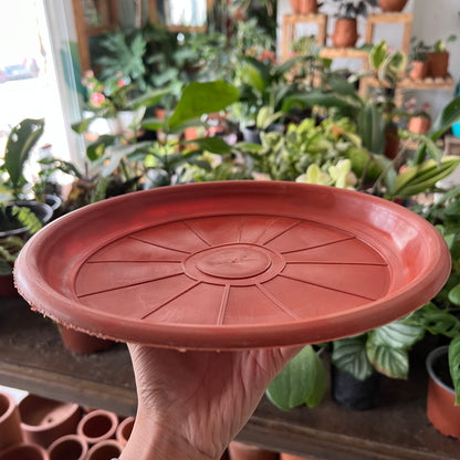 Plato Para Maceta