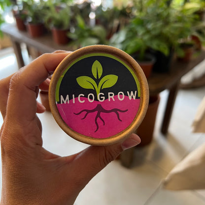 Pack reestructuración de suelo