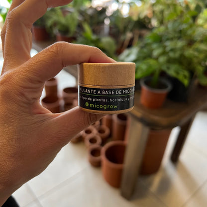 Pack reestructuración de suelo