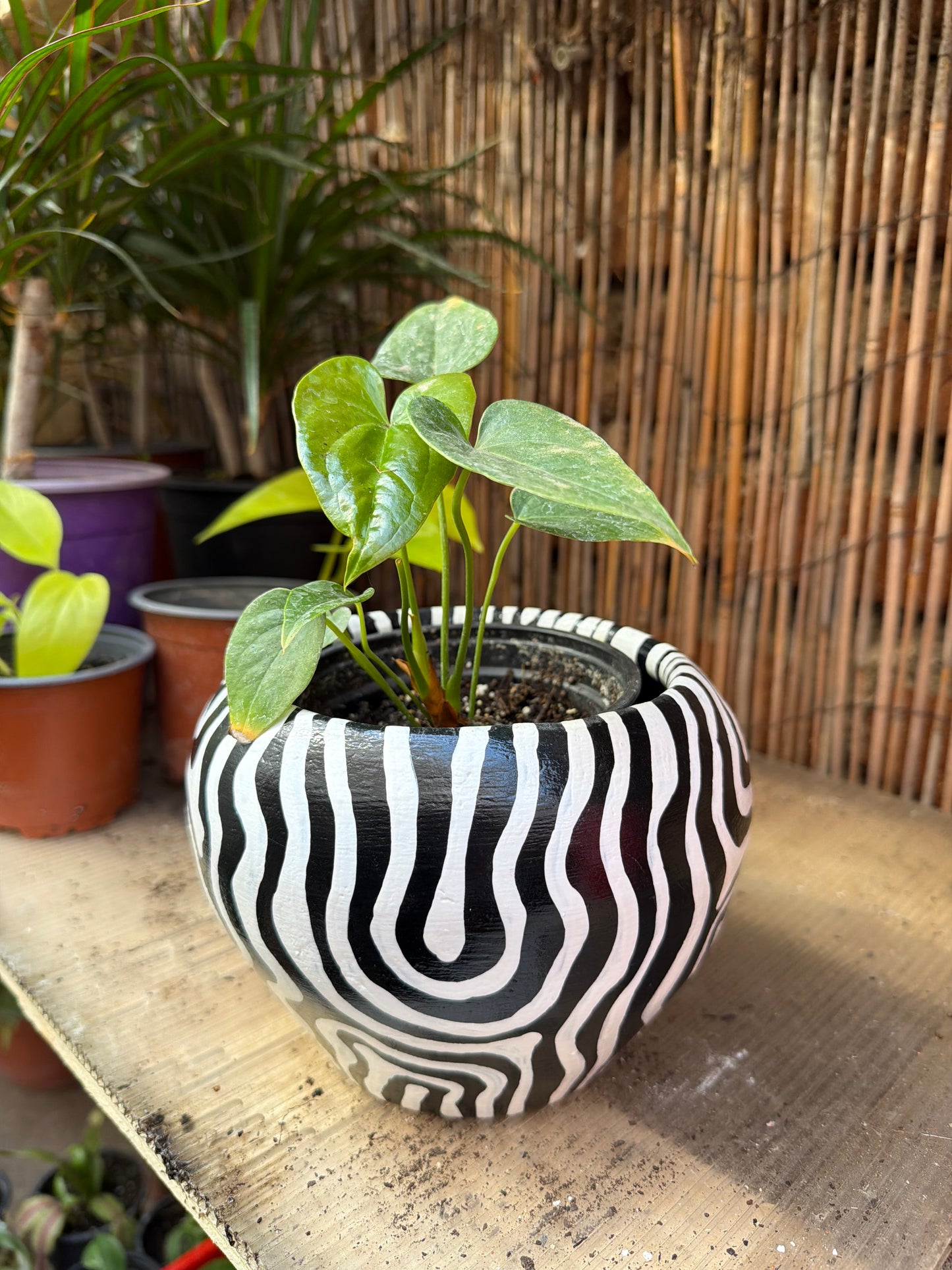 Maceta Animal Zebra