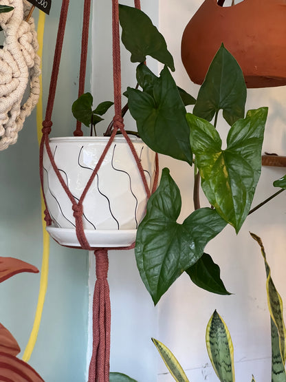 Colgante Macramé "simple" Algodón turco