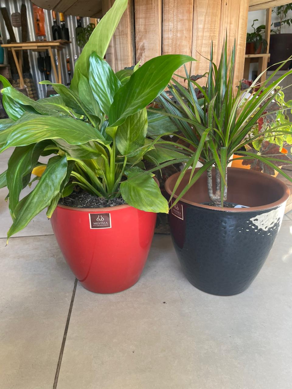 Macetero  "Zafiro"