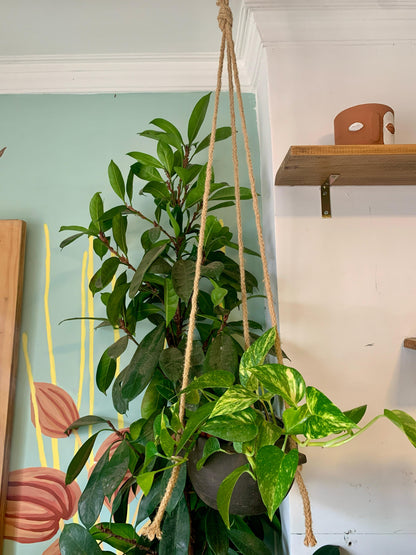 Macetero Volcánico Colgante