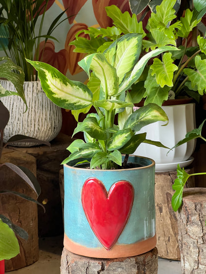 Dieffenbachia