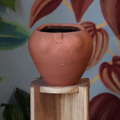 Macetario Gordo Pared