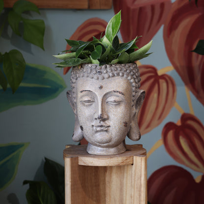 Macetero Buda